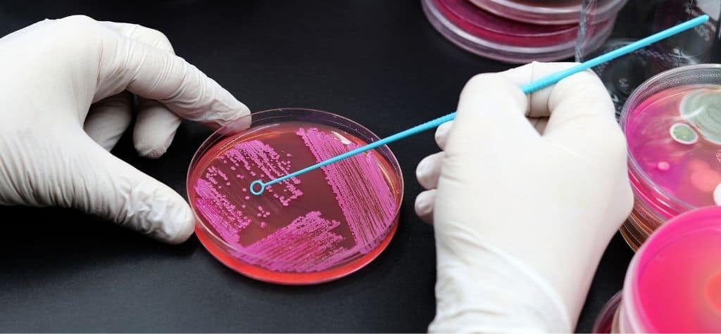 Eye Microbiome Secrets 